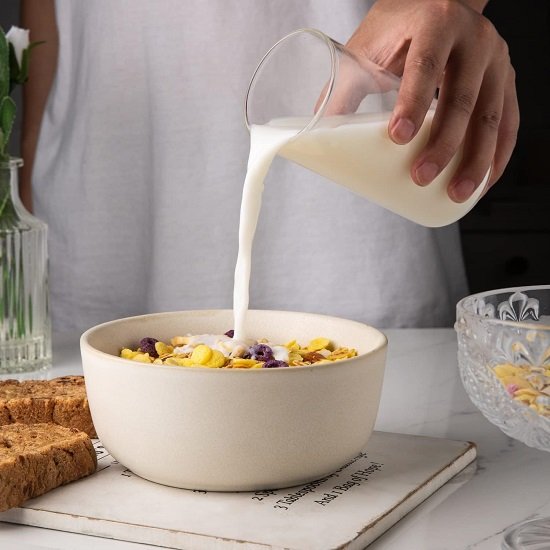 Stoneware Cereal Bowls Set of 4, 26oz Soup Bowls Set for Cereal Soup Snacks, Modern Kitchen bowls for Meal, Dishwasher &Microwave Safe, Matte Ivory